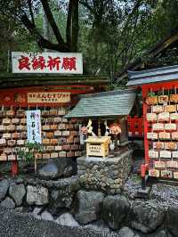 A shrine inside the bamboo forest ⛩️🕋