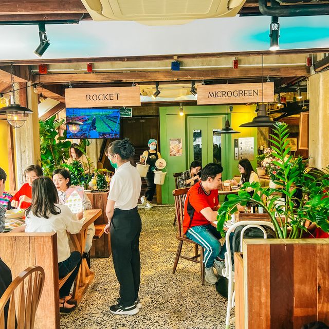 สวนผักโอ้กะจู๋ ร้านดังเชียงใหม่กลางสยามแสควร์ ซอย2
