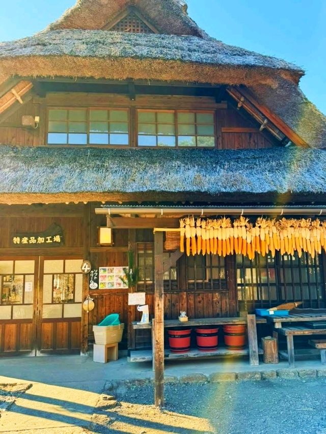  Traditional Japanese Village
