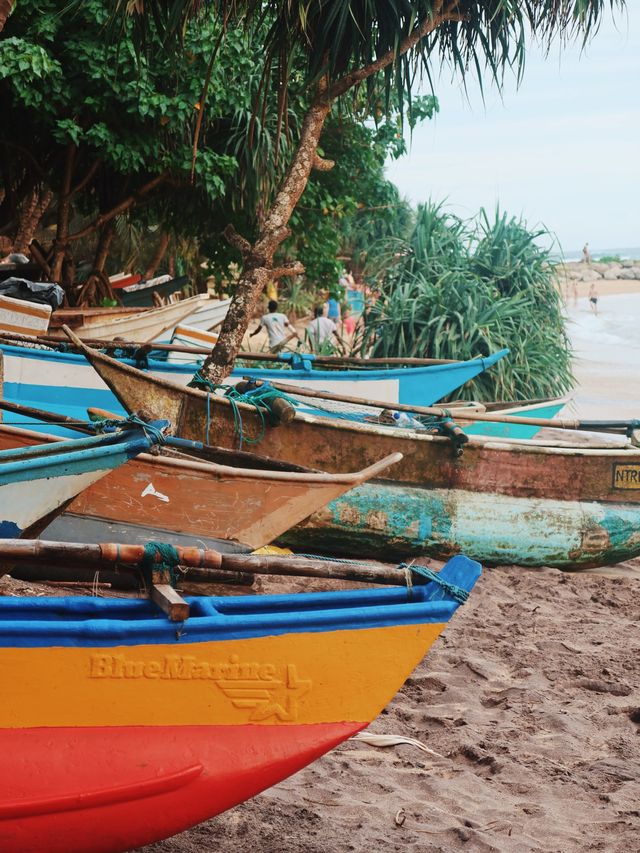 Beaches of Southern Province, Sri Lanka🌴🇱🇰