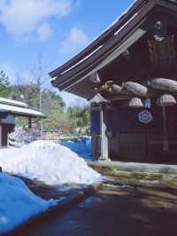 🇯🇵日本鳥取白兔神社🐰👣來到鳥取必去的可愛神社⛩️