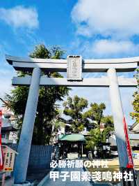 【兵庫県】必勝祈願の神社「甲子園素戔嗚神社」