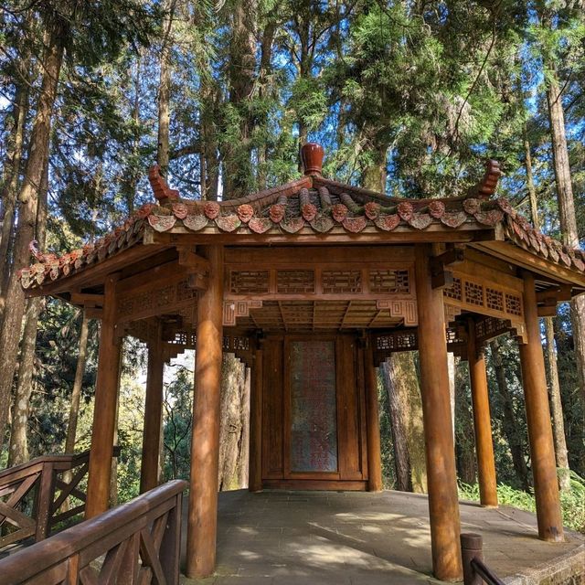 阿里山國家森林遊樂區