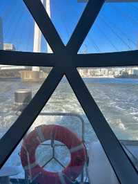 도쿄에서 수상버스타기 추천⛵️