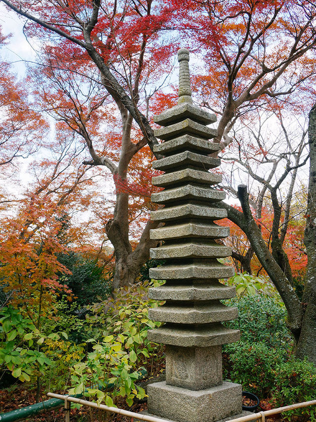 京都周邊景點｜石清水八幡宮｜男山展望台