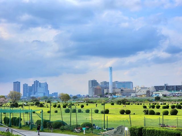 Miyuki Park