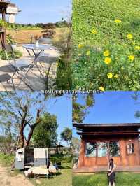 🏡🌳ชวนแฟนไปคาเฟ่ฮีลใจ ย่านนนทบุรี