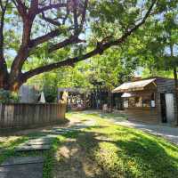 Escape from the city at the wood land cafe