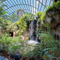 Entopia Butterfly Farm for Nature Lovers