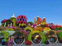 Dubai Miracle Garden
