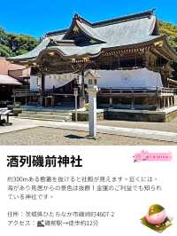 【酒列磯前神社/茨城県】約300mの樹叢と海の見える神社