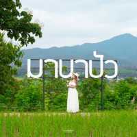 มาปัว ไม่มามานาปัว ถือว่ามาไม่ถึงนะคะ 🌱