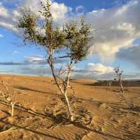 The golden endless sands of Gobi Desert 