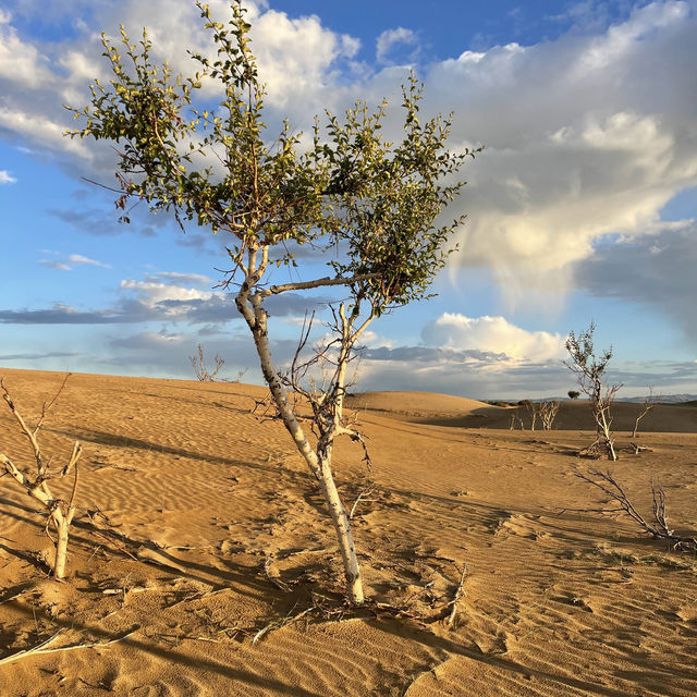 The golden endless sands of Gobi Desert 