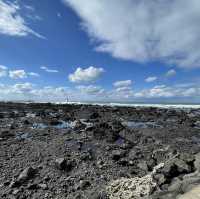 Exploring the Beauty of Aewol Coastal Road