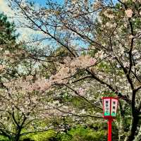豊橋公園