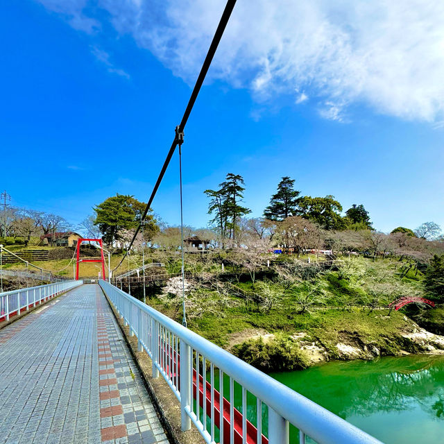 桜淵公園