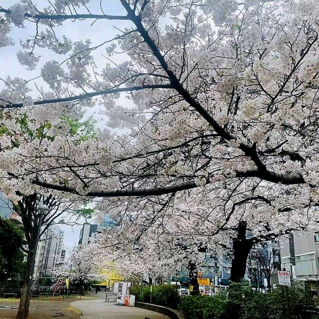 上野恩賜公園