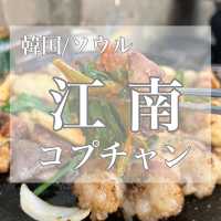 韓国/ソウル【江南】カンナムコプ