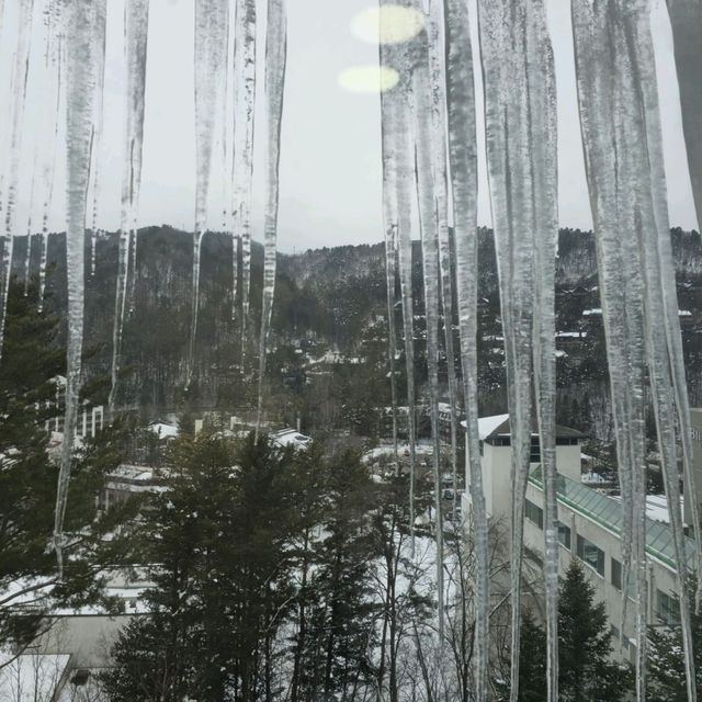 겨울여행지 용평 타워콘도 에서 바베큐파티 