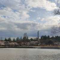 福島開成山公園：福島境內四座寶可夢公園之一，吉利蛋公園
