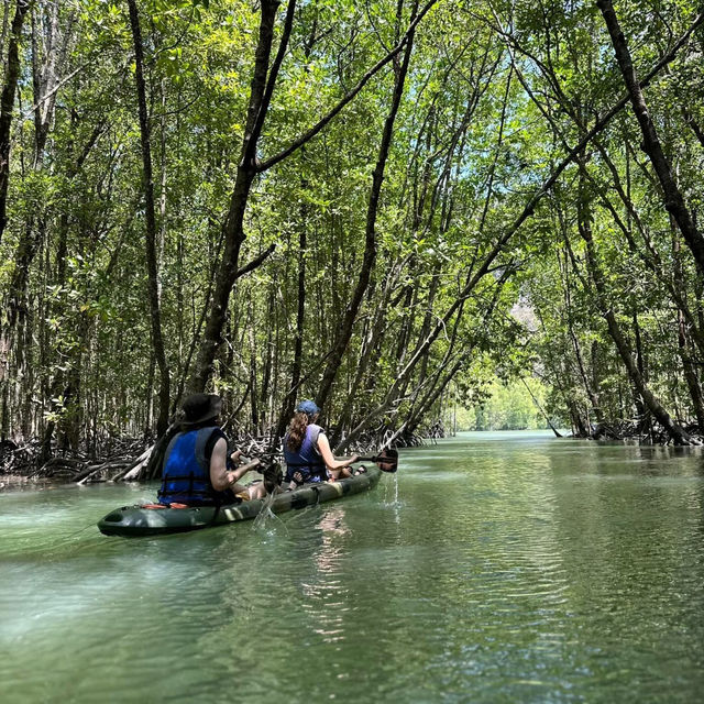Kayak Through Paradise: Langkawi Mangrove
