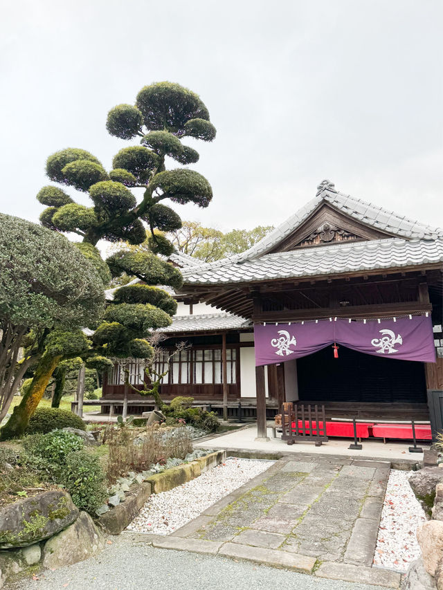 日本九州｜柳川漫活走走🚶‍♂️‍➡️