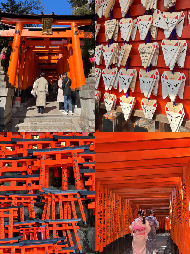 Fushimi Inari / Kyoto , Japan