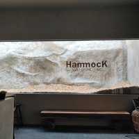 HAMMOCK เช้ามาคาเฟ่ ค่ำๆเท่ห์เป็นบาร์