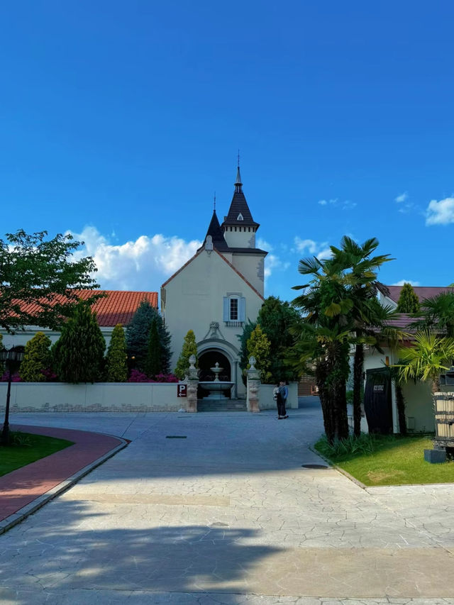 まるで南フランス🍷🇫🇷優雅なワイナリーでおしゃれな休日をすごしませんか？😋🤍【山梨・甲府】