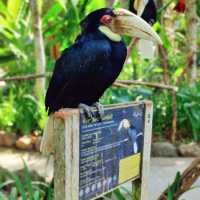 Visit Lombok Wildlife Park 