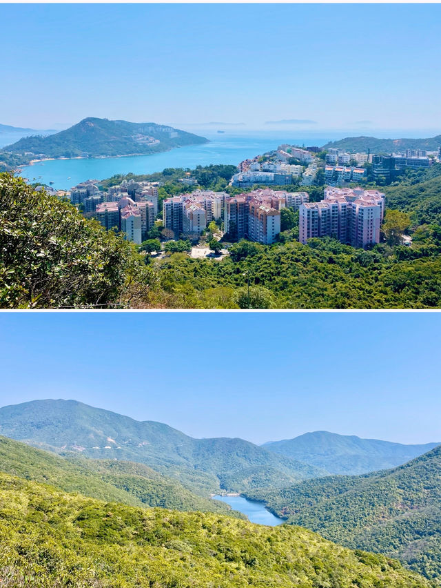 【港島南區】紫羅蘭山徑:絕佳視野眺望水塘的郊遊之旅 【港島南區】紫羅蘭山徑:絕佳視野眺望水塘的郊遊之旅