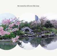 大湳公園～水鄉夢境
