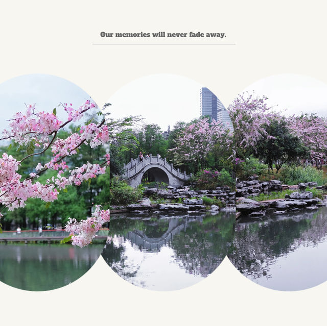 大湳公園～水鄉夢境