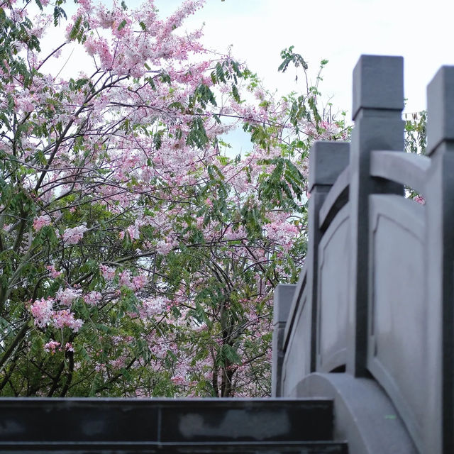 大湳公園～水鄉夢境