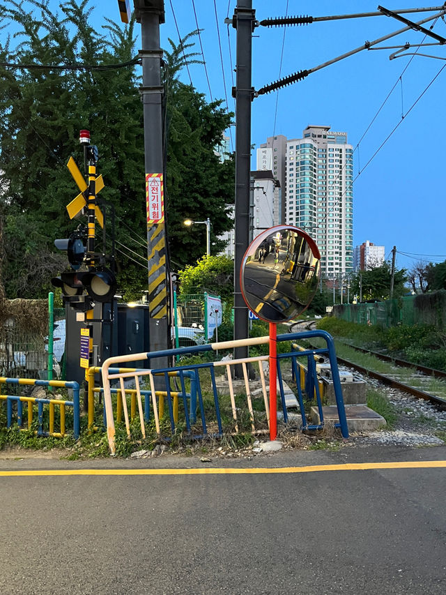 🇰🇷🚦우연히 _ 용산 