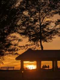 Beautiful Sunset