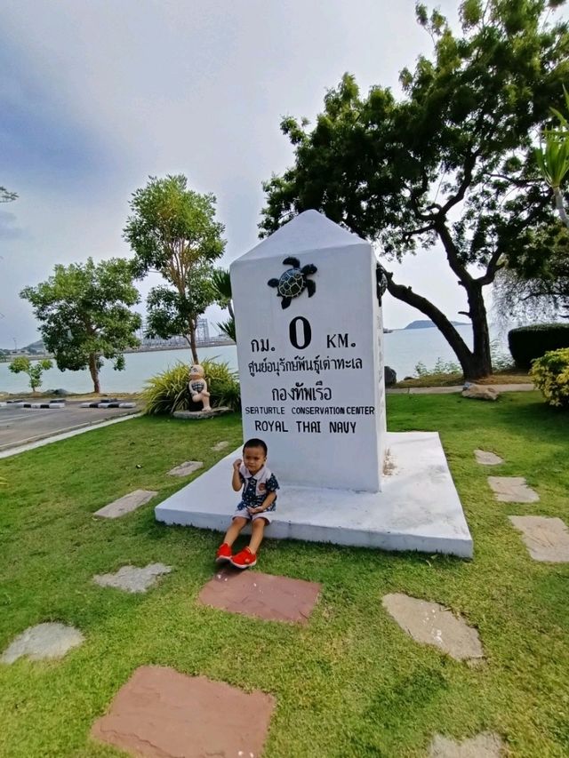 ดูน้องเต่ากันนะ