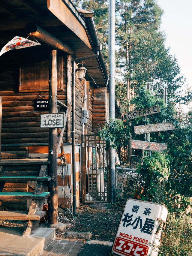 🇯🇵日本福岡景點⛩️ 寶滿宮 竈門神社🌸