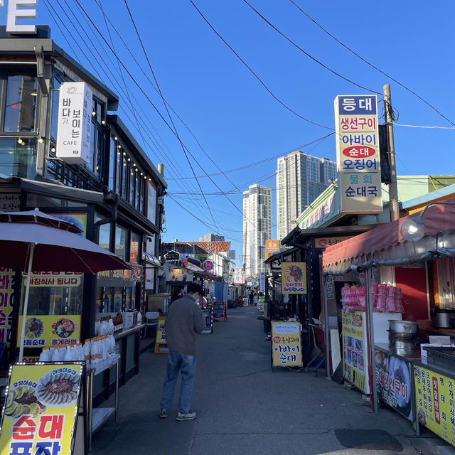 동해안의 나폴리 속초 오션뷰 맛집 대포항🌅🚢