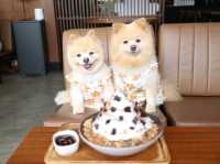 Hotto Bun คาเฟ่ที่แฮปปี้ทั้งคนทั้งน้องหมา 😊🐶