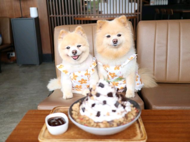 Hotto Bun คาเฟ่ที่แฮปปี้ทั้งคนทั้งน้องหมา 😊🐶