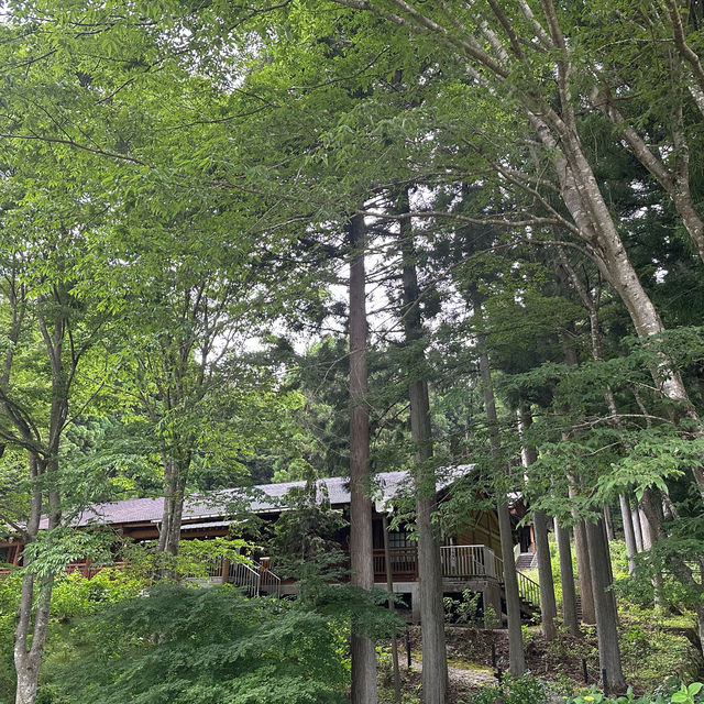 21세기 숲공원