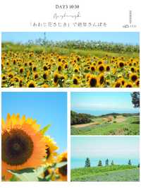 【淡路島】🌻淡路島旅日記　DAY1📒