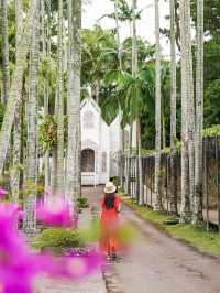 【沖縄｜沖縄市】女子旅にも子連れ旅にもおすすめ！東南植物園🌴