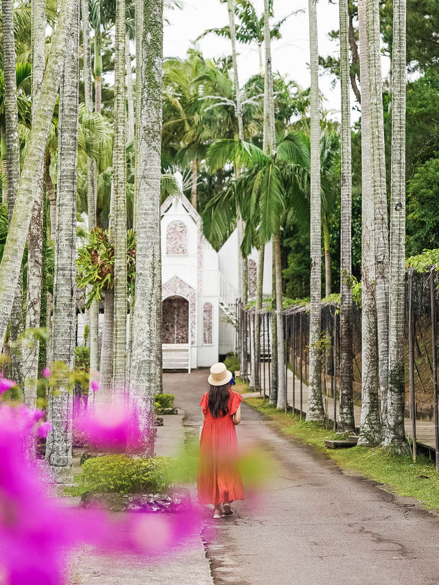 【沖縄｜沖縄市】女子旅にも子連れ旅にもおすすめ！東南植物園🌴