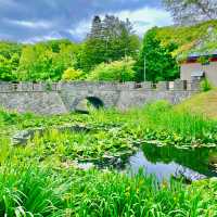 Art and Nature in Harmony