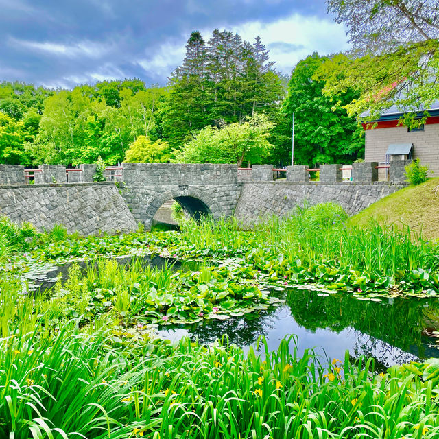 Art and Nature in Harmony