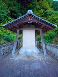 風情を感じる三河のあじさい寺😌💠本光寺💠☺️愛知県