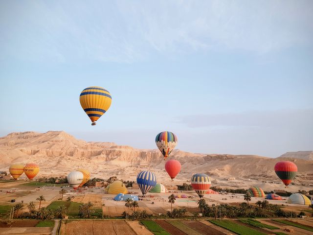 Hot Air Balloon in Luxor